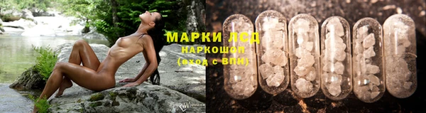 гидропоника Арсеньев